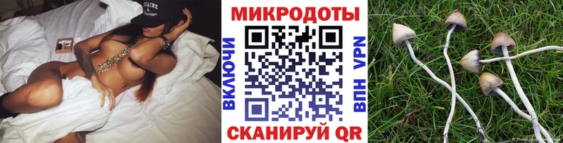 Галлюциногенные грибы мицелий  кракен ССЫЛКА  Игра 